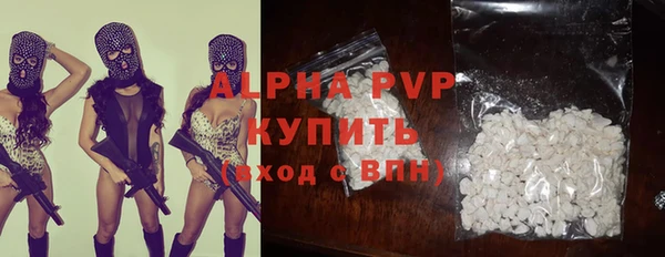 стаф Богородицк