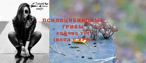 бошки Березники