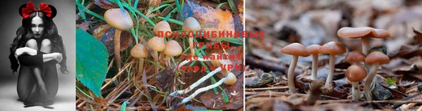 MDMA Premium VHQ Богородск