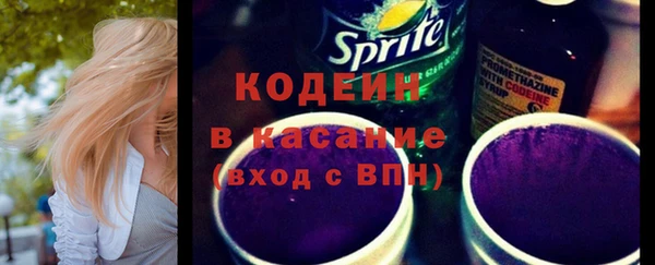 стаф Богородицк