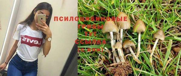 стаф Богородицк