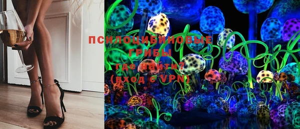 прущие грибы Белоозёрский