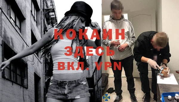 стаф Богородицк