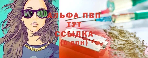 стаф Богородицк