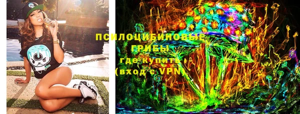 стаф Богородицк